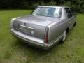 Light Driftwood Metallic - DeVille Sedan Photo No. 13