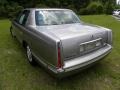 Light Driftwood Metallic - DeVille Sedan Photo No. 15