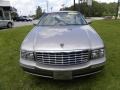 Light Driftwood Metallic - DeVille Sedan Photo No. 18