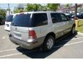 Silver Birch Metallic - Mountaineer Convenience AWD Photo No. 4