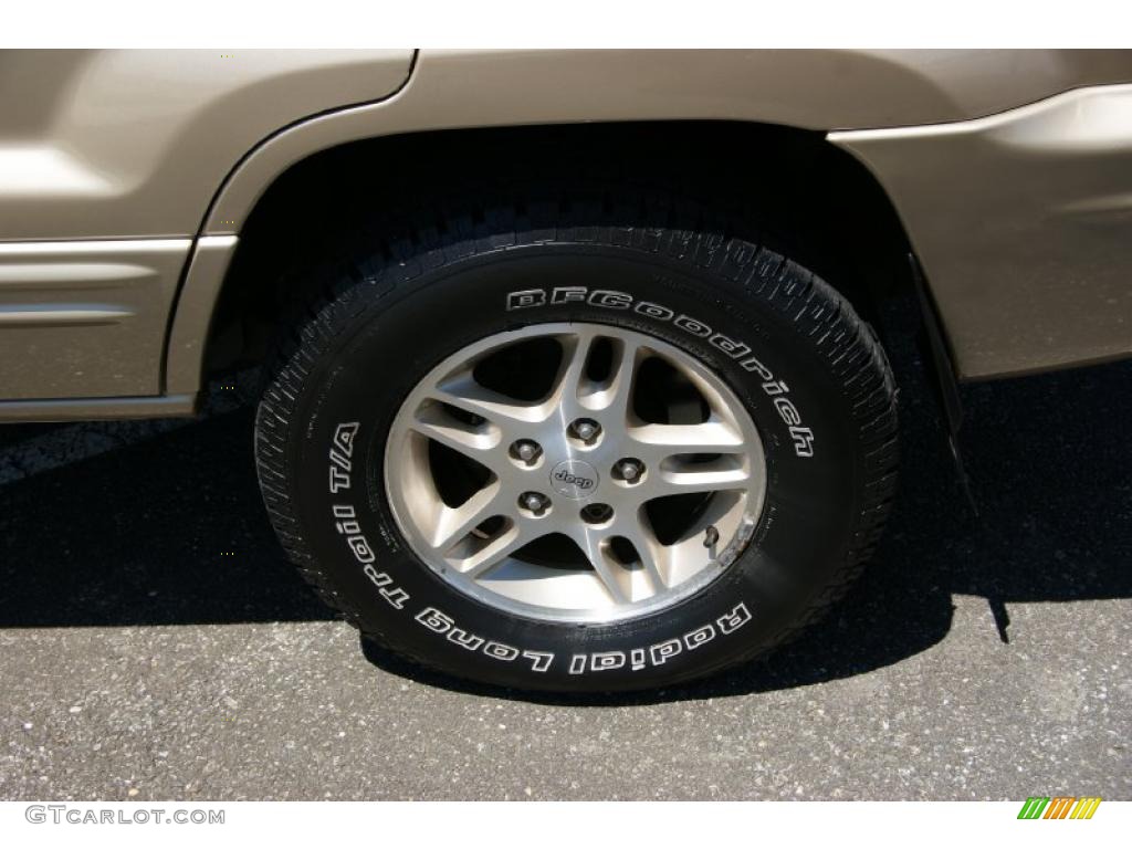 1999 Grand Cherokee Limited 4x4 - Champagne Pearl / Camel photo #8