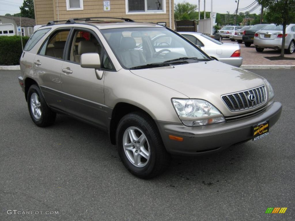 2003 RX 300 AWD - Burnished Gold Metallic / Ivory photo #2