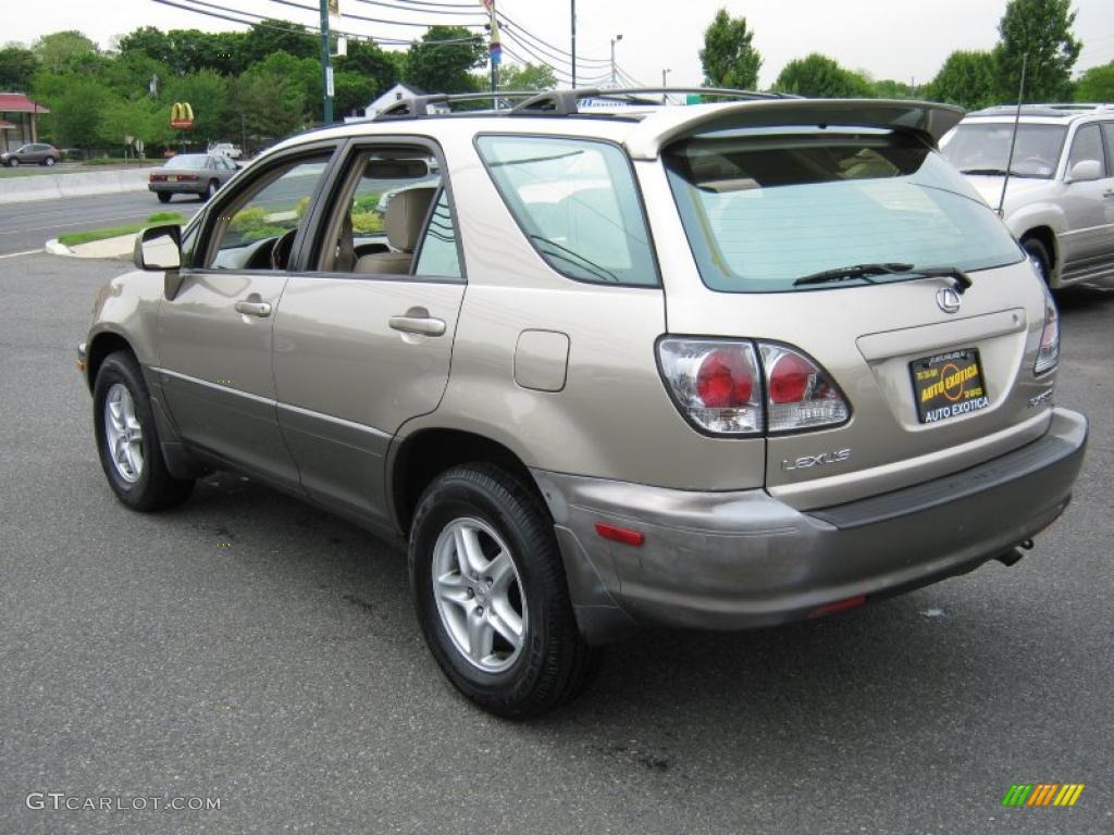 2003 RX 300 AWD - Burnished Gold Metallic / Ivory photo #4