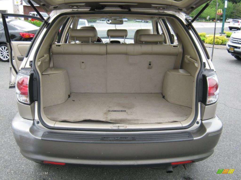 2003 RX 300 AWD - Burnished Gold Metallic / Ivory photo #8