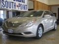 Camel Pearl - Sonata GLS Photo No. 1