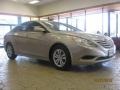 Camel Pearl - Sonata GLS Photo No. 8