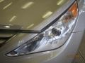 Camel Pearl - Sonata GLS Photo No. 10