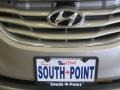 Camel Pearl - Sonata GLS Photo No. 11