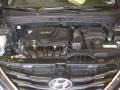 Camel Pearl - Sonata GLS Photo No. 33