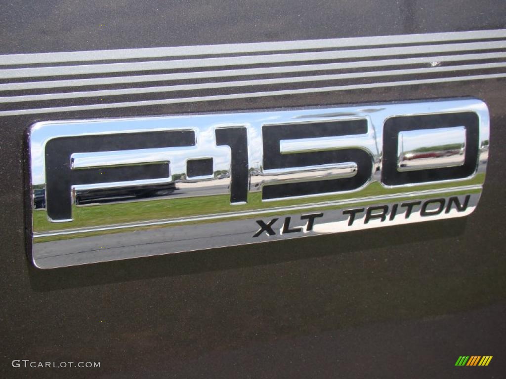 2005 F150 XLT Regular Cab - Dark Shadow Grey Metallic / Medium Flint Grey photo #37