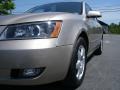 Golden Beige - Sonata GLS Photo No. 2