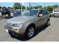 2007 Platinum Bronze Metallic BMW X3 3.0si  photo #7