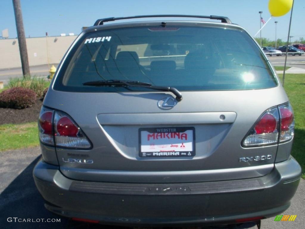 2003 RX 300 AWD - Millenium Silver Metallic / Ivory photo #10