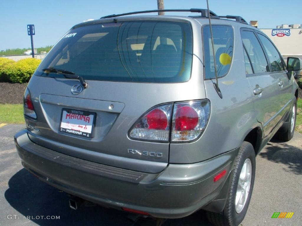 2003 RX 300 AWD - Millenium Silver Metallic / Ivory photo #11