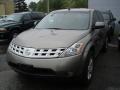 Polished Pewter Metallic - Murano SL AWD Photo No. 2