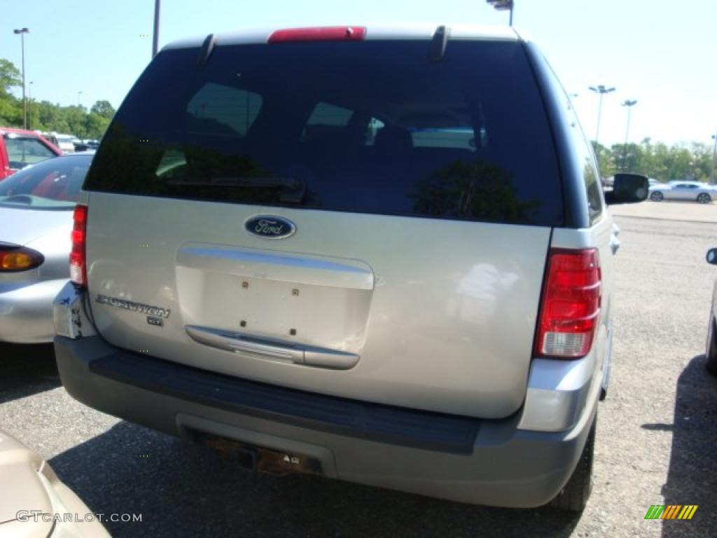 2003 Expedition XLT 4x4 - Silver Birch Metallic / Flint Grey photo #2