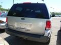 2003 Silver Birch Metallic Ford Expedition XLT 4x4  photo #2