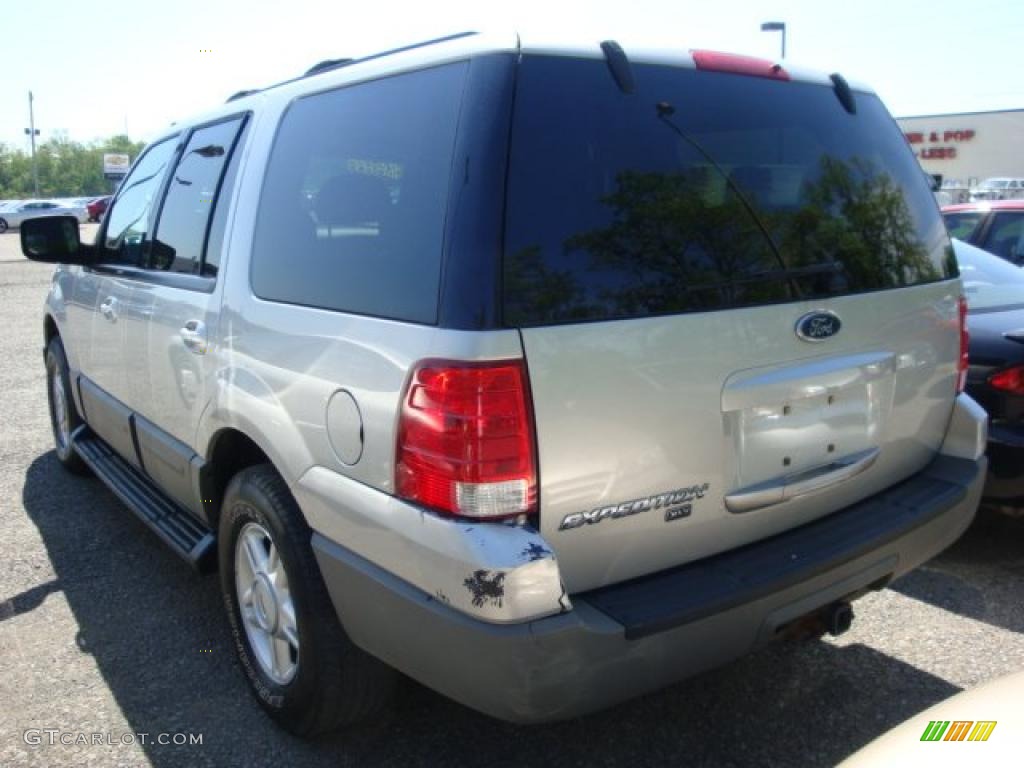 2003 Expedition XLT 4x4 - Silver Birch Metallic / Flint Grey photo #4