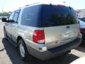 2003 Silver Birch Metallic Ford Expedition XLT 4x4  photo #4