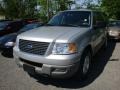 2003 Silver Birch Metallic Ford Expedition XLT 4x4  photo #5