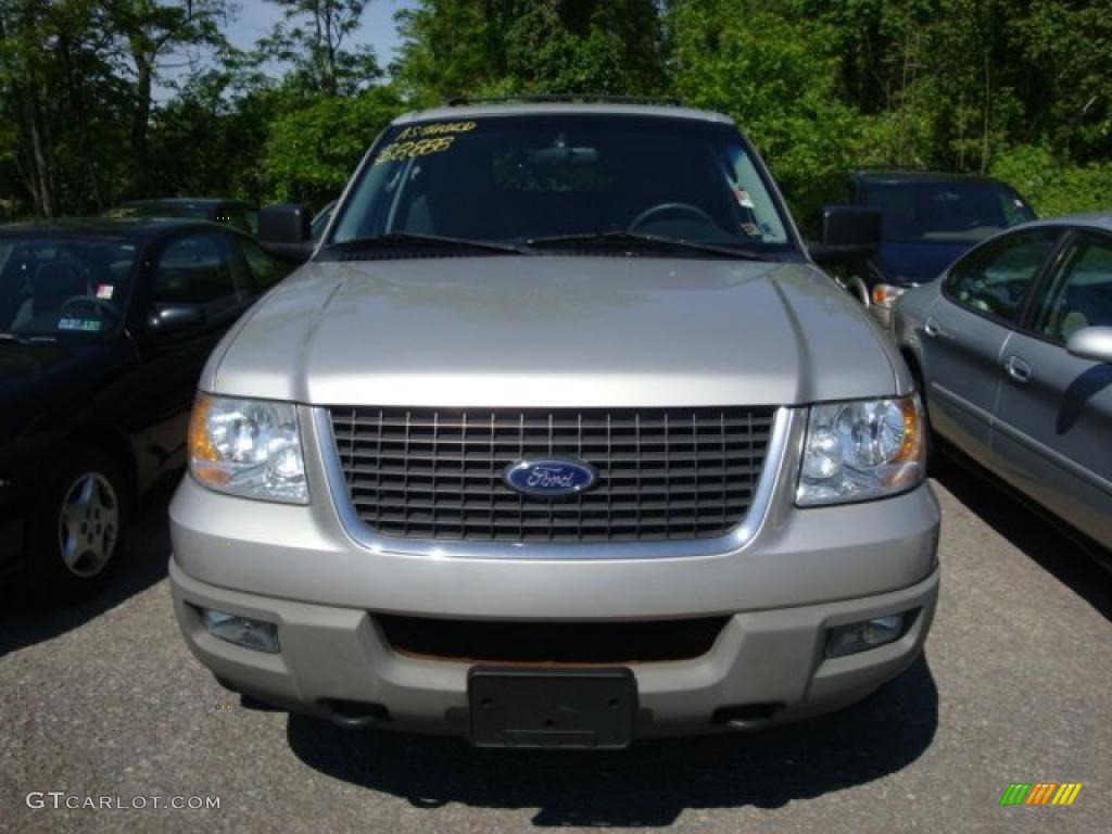 2003 Expedition XLT 4x4 - Silver Birch Metallic / Flint Grey photo #6