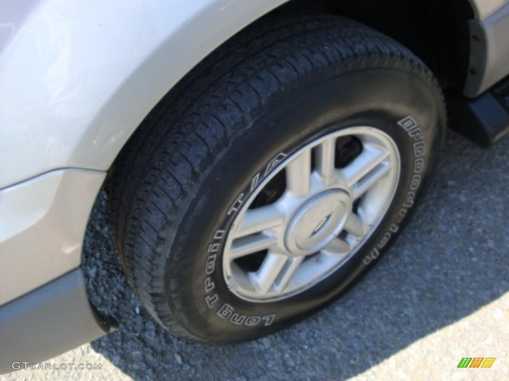 2003 Expedition XLT 4x4 - Silver Birch Metallic / Flint Grey photo #7