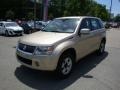 Clear Beige Metallic - Grand Vitara 4x4 Photo No. 5