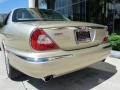 2006 Winter Gold Metallic Jaguar XJ Vanden Plas  photo #6