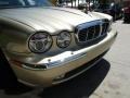 2006 Winter Gold Metallic Jaguar XJ Vanden Plas  photo #11