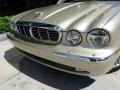 Winter Gold Metallic - XJ Vanden Plas Photo No. 12