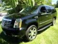 Black Raven - Escalade ESV AWD Photo No. 2