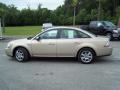 Dune Pearl Metallic - Taurus SEL Photo No. 8