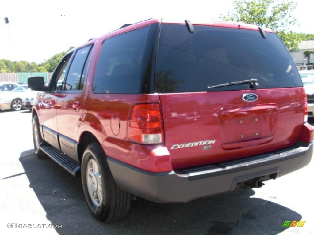 2003 Expedition XLT 4x4 - Laser Red Tinted Metallic / Flint Grey photo #6