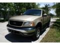 1999 Harvest Gold Metallic Ford F150 XLT Extended Cab 4x4  photo #18