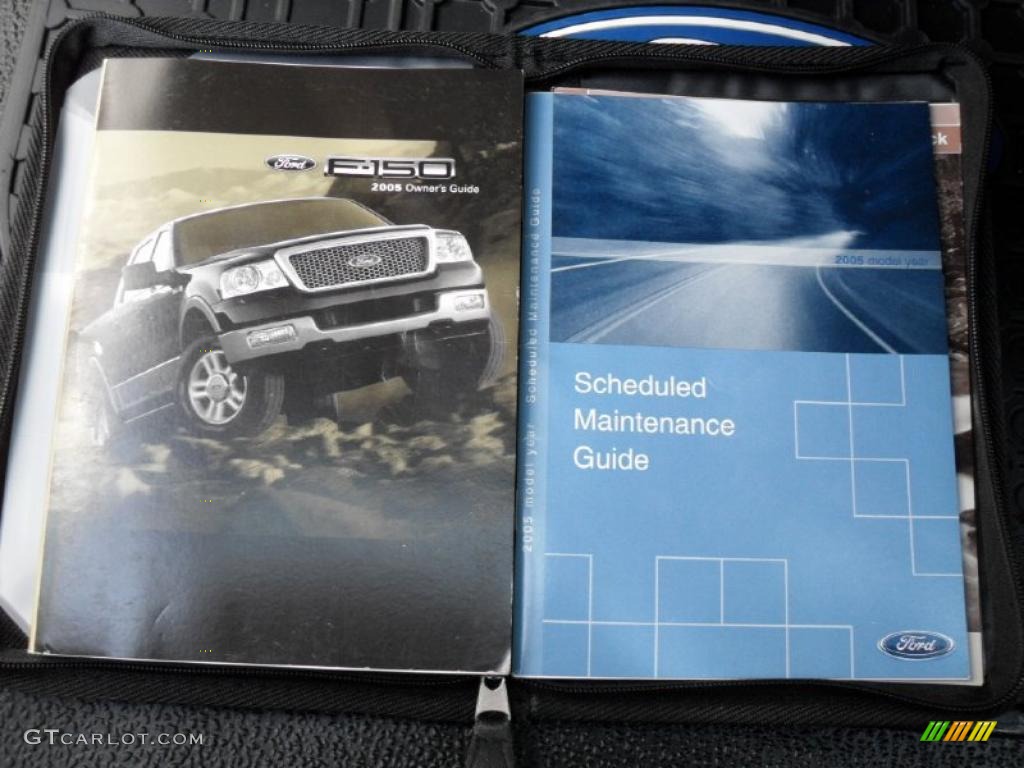 2005 F150 STX Regular Cab 4x4 - Silver Metallic / Medium Flint Grey photo #13