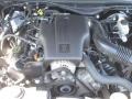 2004 Midnight Grey Metallic Ford Crown Victoria LX  photo #30