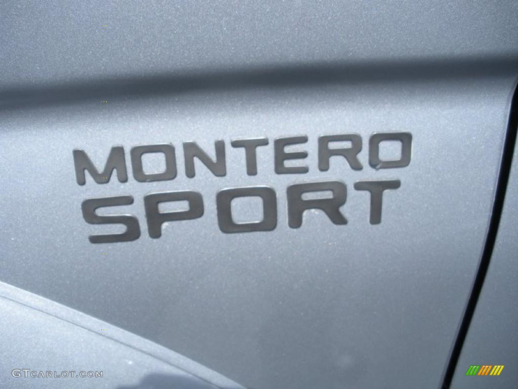2002 Montero Sport XLS 4x4 - Munich Silver Metallic / Gray photo #11