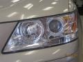 Camel Pearl - Sonata GLS Photo No. 8
