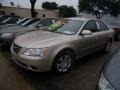 Camel Pearl - Sonata GLS Photo No. 30