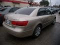Camel Pearl - Sonata GLS Photo No. 31