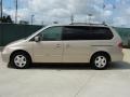 2000 Mesa Beige Metallic Honda Odyssey EX  photo #6