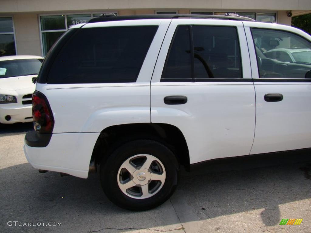 2006 TrailBlazer LS - Summit White / Light Gray photo #36