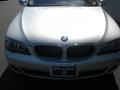 2008 Titanium Silver Metallic BMW 7 Series 750Li Sedan  photo #26