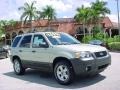 2006 Gold Ash Metallic Ford Escape XLT V6  photo #1