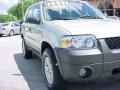 2006 Gold Ash Metallic Ford Escape XLT V6  photo #2