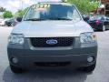 2006 Gold Ash Metallic Ford Escape XLT V6  photo #15