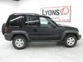 Black Clearcoat - Liberty Sport 4x4 Photo No. 17