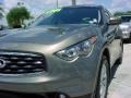 2009 Platinum Graphite Infiniti FX 35  photo #14