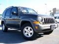 2005 Dark Khaki Pearl Jeep Liberty CRD Sport 4x4  photo #7