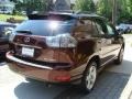 2008 Brandywine Mica Lexus RX 350 AWD  photo #4